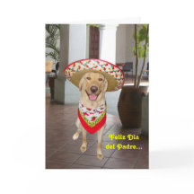 Spanish Father's Day/Feliz Dia del Padre...