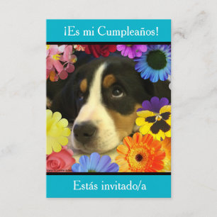 Spanish: Fiesta de cumpleaños - Invitación Invitation