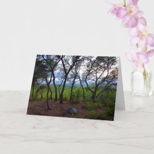 Spanish Forest Landscape Card