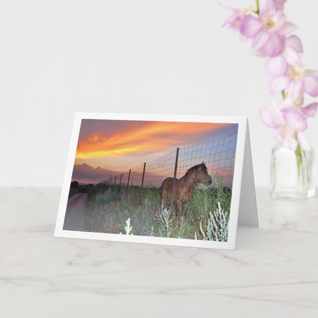 Spanish Horse at Sunset Card (Orchid)