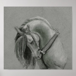Spanish Horse drawing poster