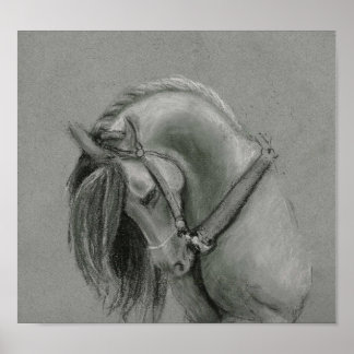Spanish Horse drawing poster