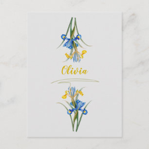 Spanish iris by Pierre-Joseph Redouté Postcard