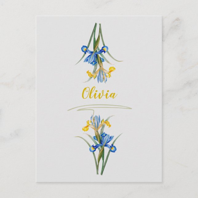 Spanish iris by Pierre-Joseph Redouté Postcard (Front)