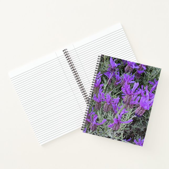 Spanish Lavender Blooms Floral Notebook (Inside)