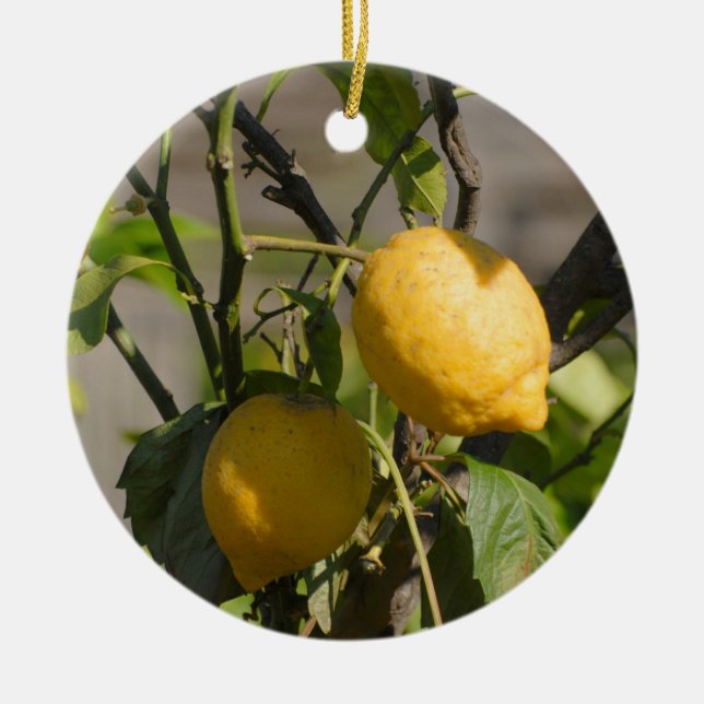 Spanish Lemon Graphics Ceramic Tree Decoration (Front)