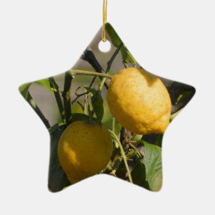 Spanish Lemon Graphics Ceramic Tree Decoration