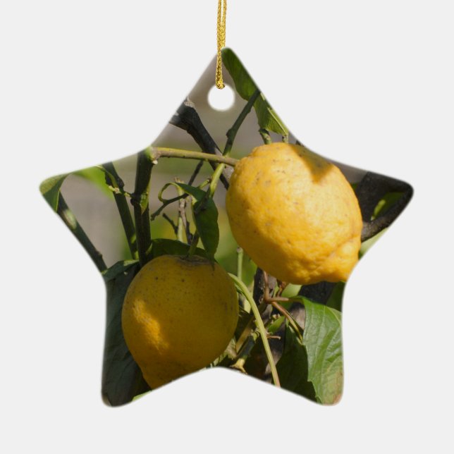 Spanish Lemon Graphics Ceramic Tree Decoration (Front)