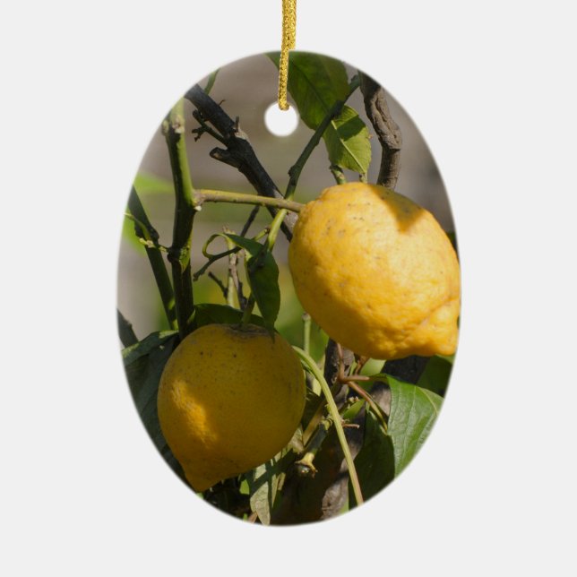 Spanish Lemon Graphics Ceramic Tree Decoration (Front)