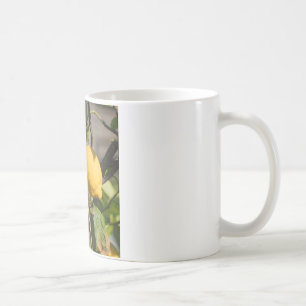 Spanish Lemon Graphics Coffee Mug