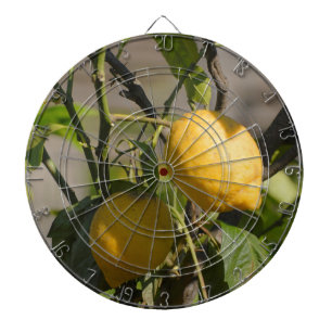 Spanish Lemon Graphics Dartboard