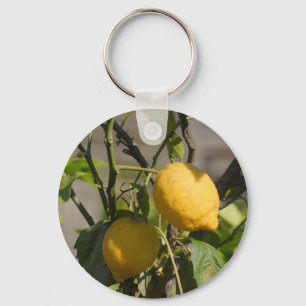 Spanish Lemon Graphics Key Ring