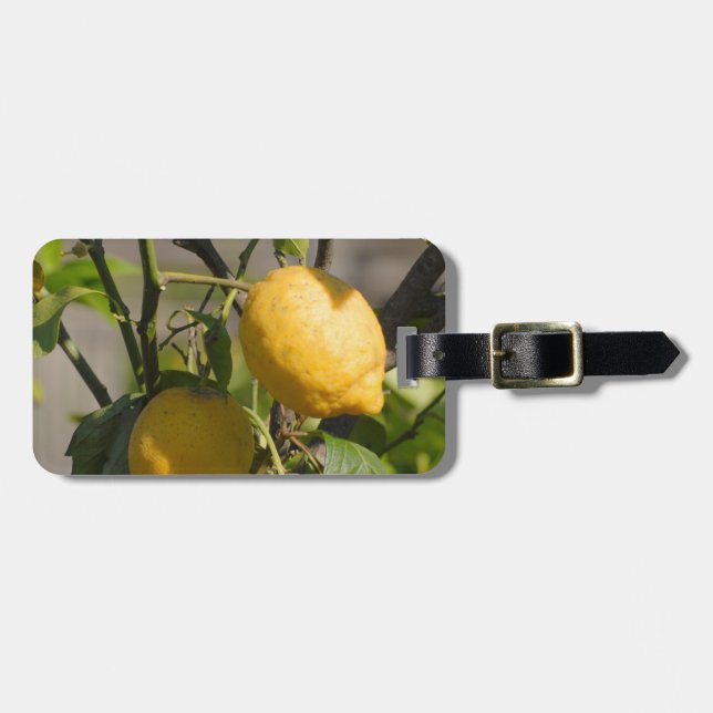 Spanish Lemon Graphics Luggage Tag (Front Horizontal)