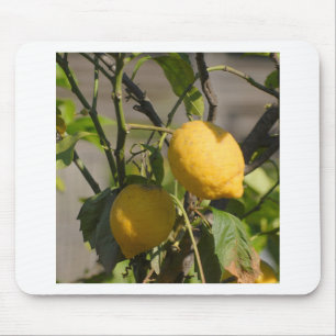 Spanish Lemon Graphics Mouse Mat