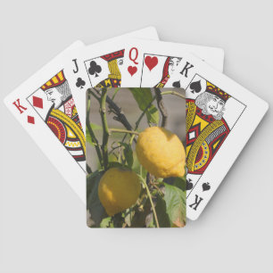 Spanish Lemon Graphics Playing Cards