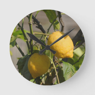 Spanish Lemon Graphics Round Clock