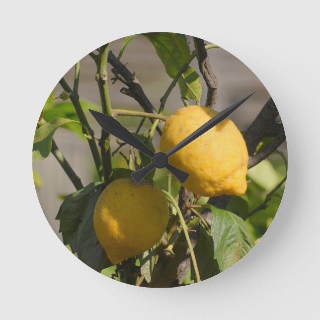 Spanish Lemon Graphics Round Clock (Front)
