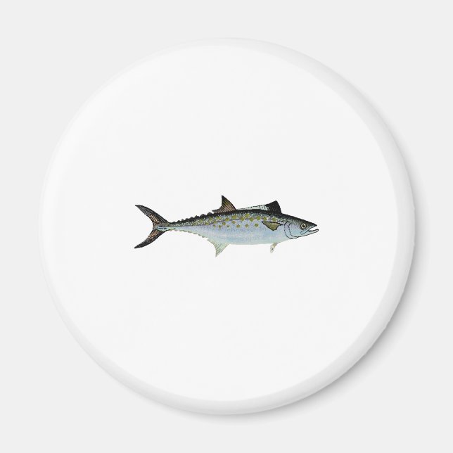 Spanish Mackerel Art Magnet (Front)