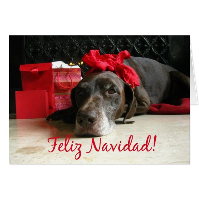 spanish merry christmas  pointer and gifts at fire (Front Horizontal)