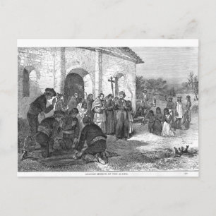 Spanish Mission of the Alamo Postcard