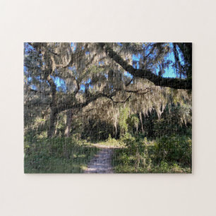 Spanish Moss Jigsaw Puzzle