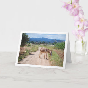 Spanish Mule on Country Road Card