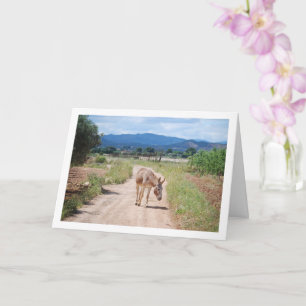 Spanish Mule on Country Road Card