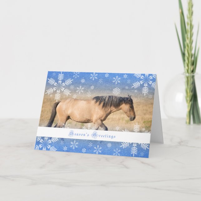 Spanish Mustang - 5x7 Holiday Card (Front)