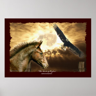 Spanish Mustang Horse & Bald Eagle Art Print