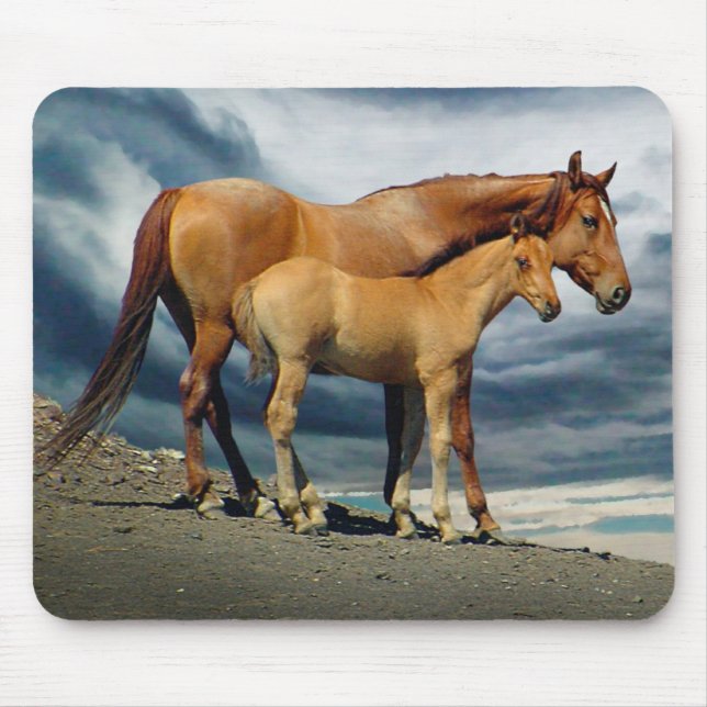 Spanish Mustang Mare Mouse Mat (Front)
