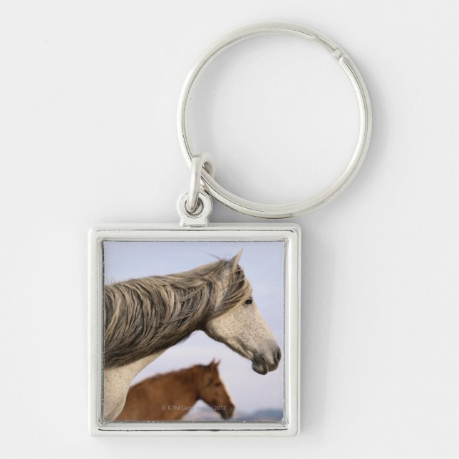 Spanish Mustangs Key Ring (Front)