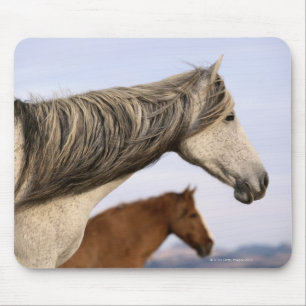 Spanish Mustangs Mouse Mat