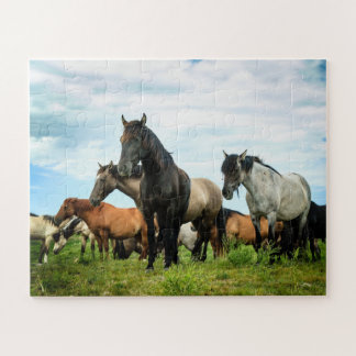 Spanish Mustangs Puzzle