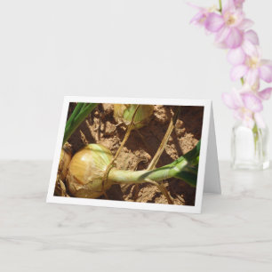 Spanish Onions in Field, Food Photography Card