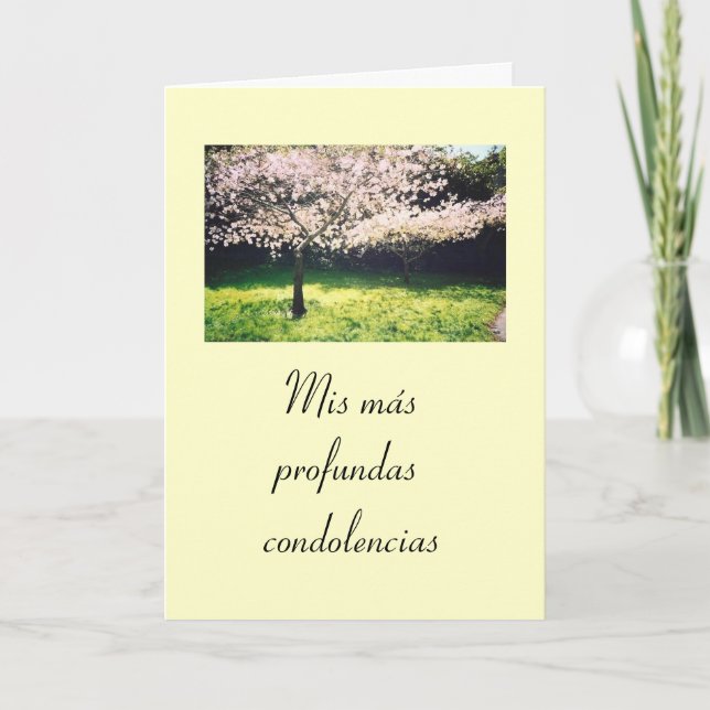 Spanish:Pesame /Sympathy Card (Front)