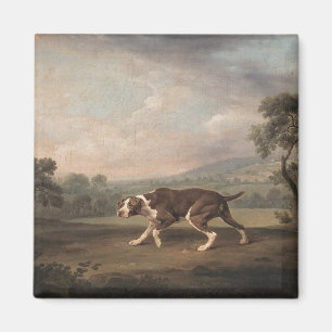 Spanish Pointer Dog (by George Stubbs) Magnet