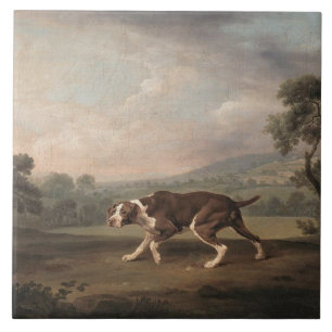 Spanish Pointer Dog (by George Stubbs) Tile