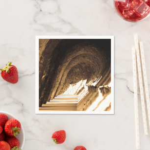 Spanish Sepia Tunnel Napkin