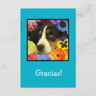 Spanish: Thank you card / Gracias!