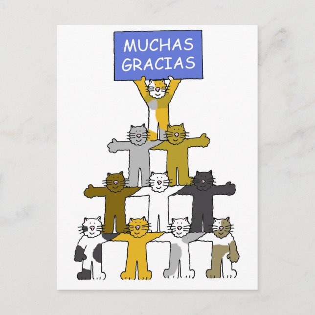 Spanish Thank you Muchas Gracias Cartoon Cats Postcard (Front)