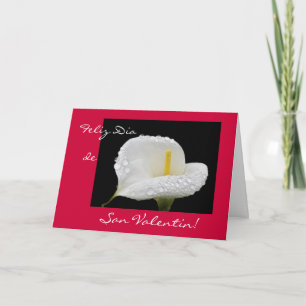 Spanish: Valentine's Day / Dia de San Valentin Holiday Card