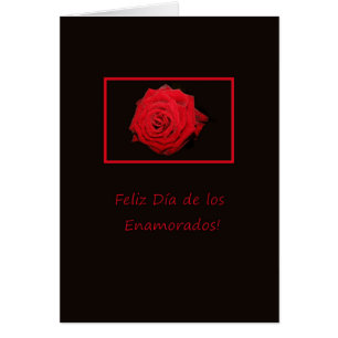 Spanish Valentine's Day Roses