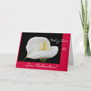 Spanish: Valentine's Day / San Valentin Holiday Card