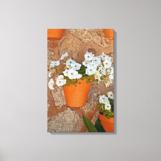 Spanish Wall Wrapped Canvas (Front)