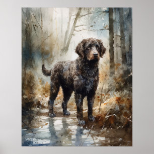 Spanish Water Dog Art Print Poster