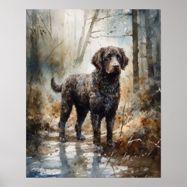 Spanish Water Dog Art Print Poster (Front)