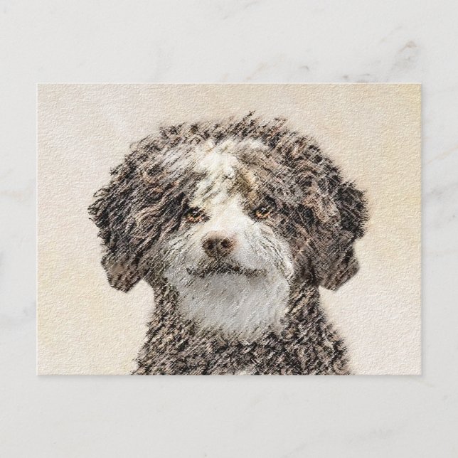 Spanish Water Dog Painting - Cute Original Dog Art Postcard (Front)