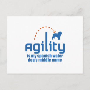 Spanish Water Dog Postcard