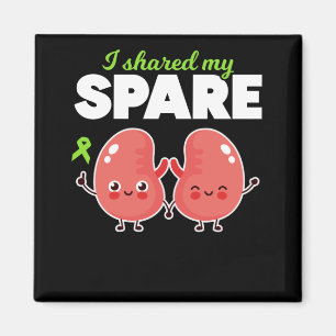 Spare Kidney Organ Transplantation Magnet