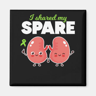 Spare Kidney Organ Transplantation Magnet